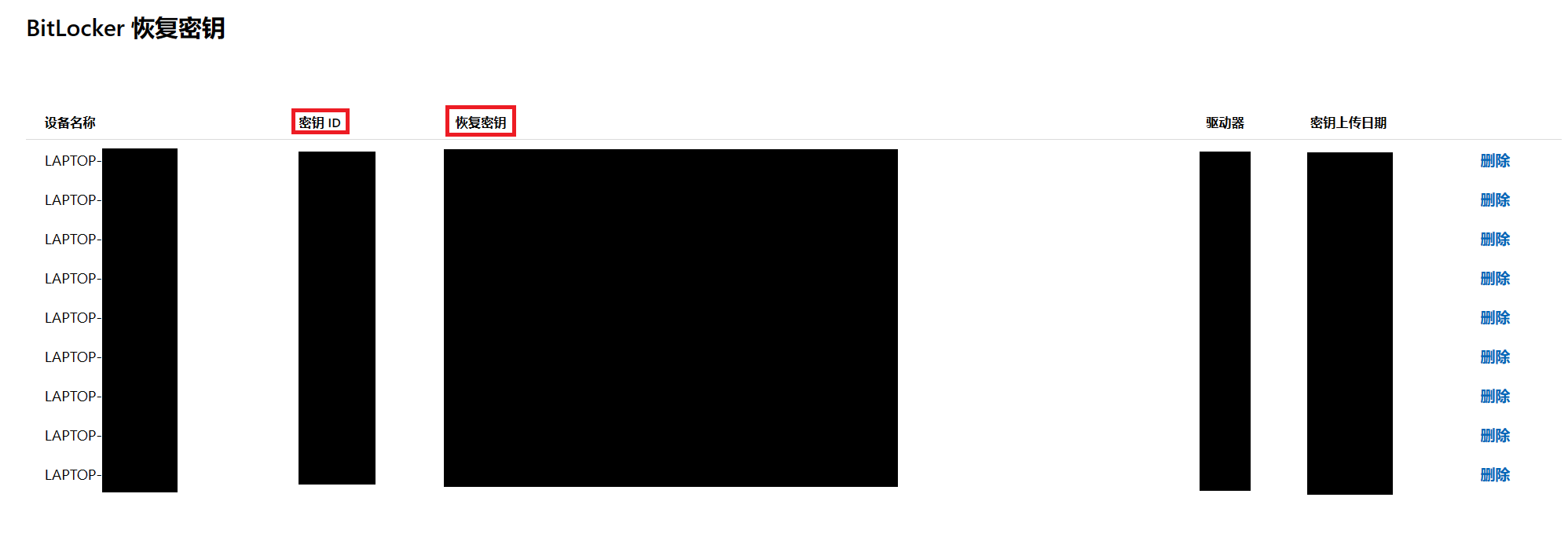 pic_micro_bitlocker.png