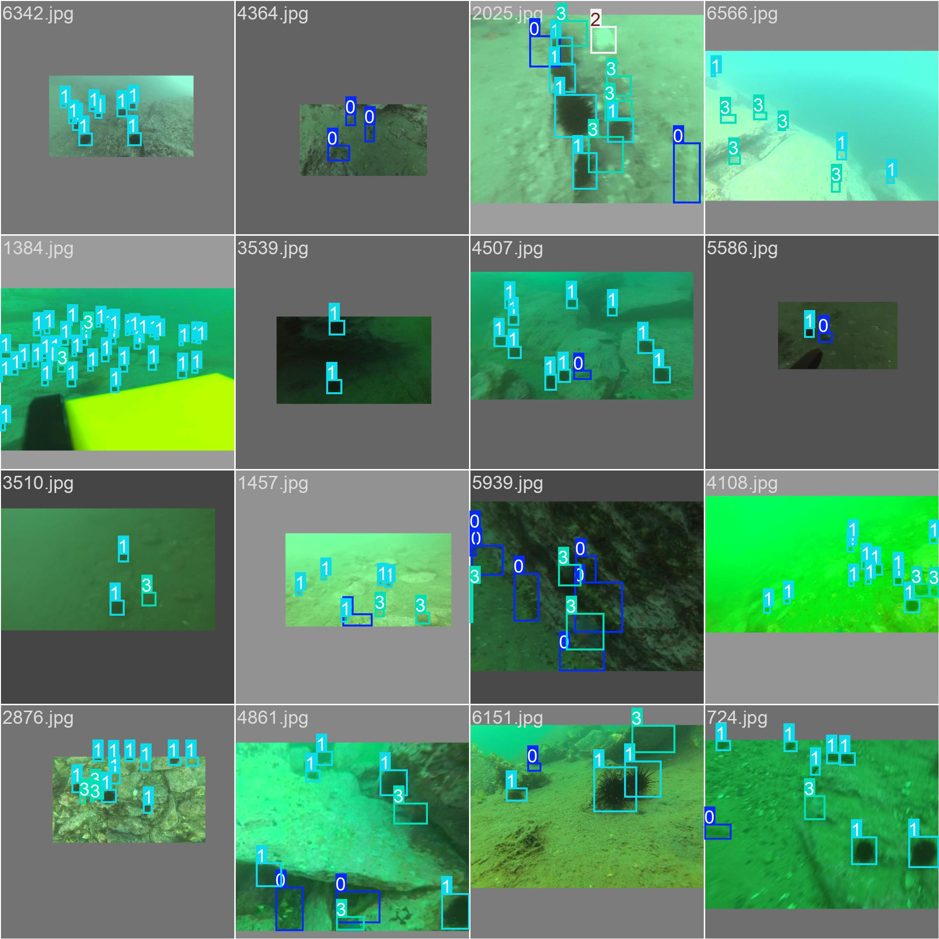 image-20241223171908585