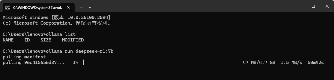 image-20250205143046570