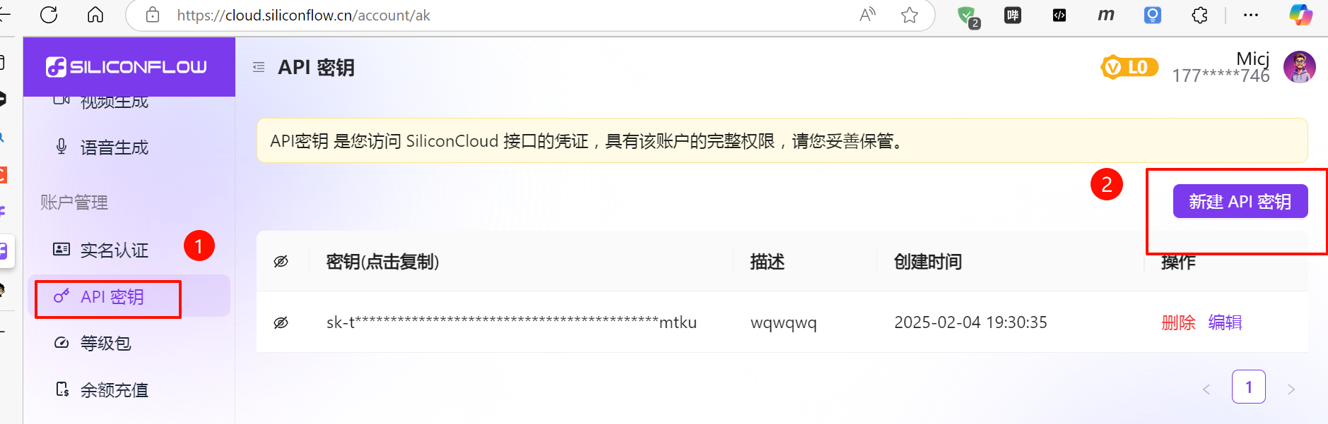 image-20250211174706132