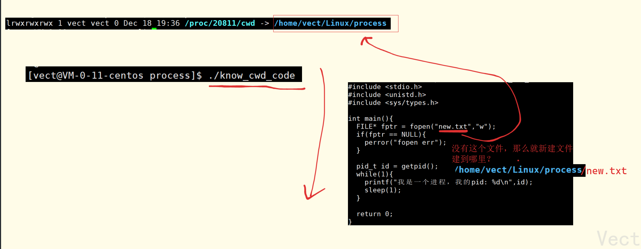 image-20251218194349413