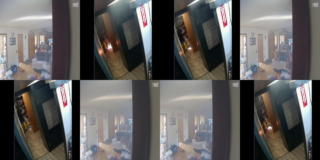 标注图1