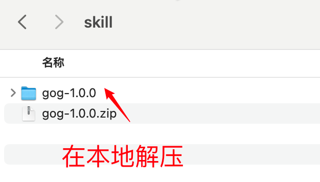 本地解压Skill文件