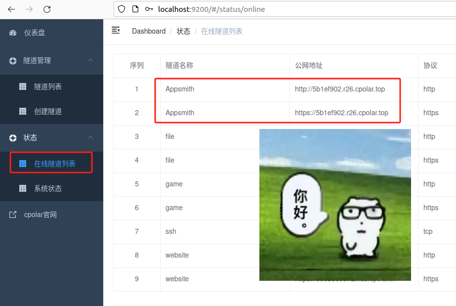 image-20250401132950818