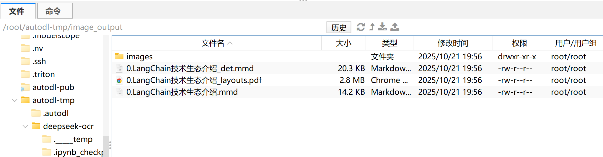 image-20251021195730782