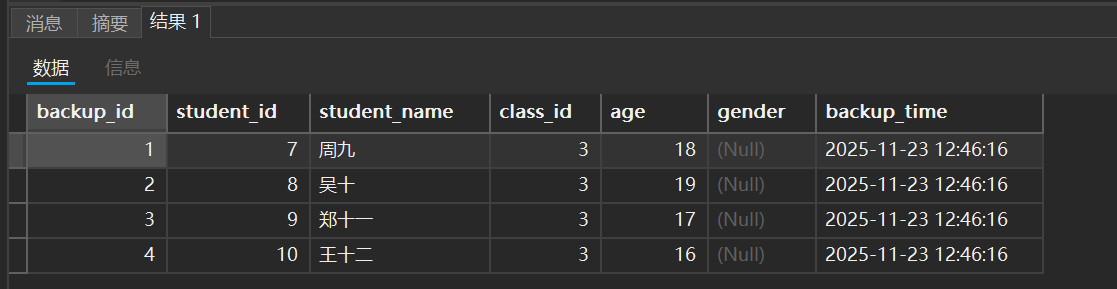 image-20251123124918387