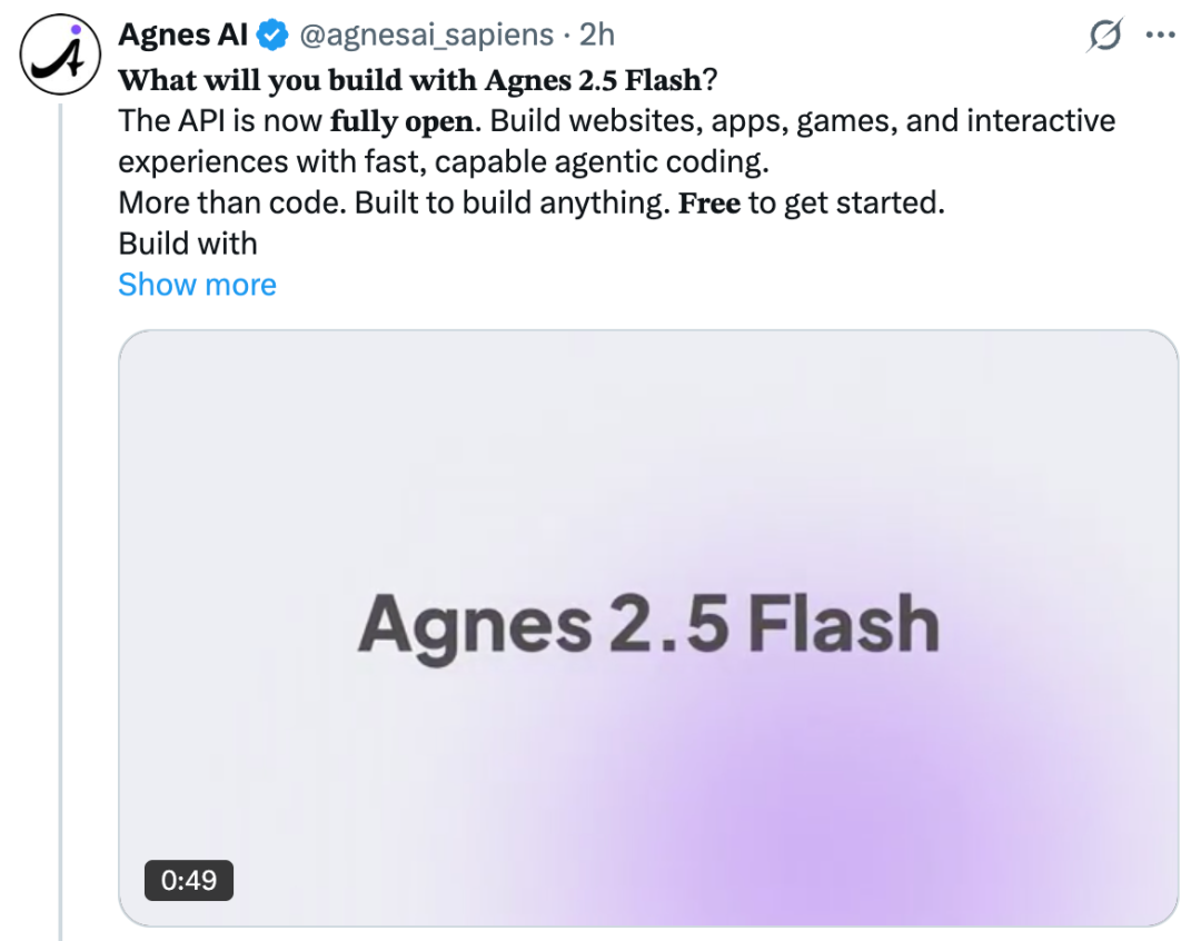 Agnes 2.5 Flash模型