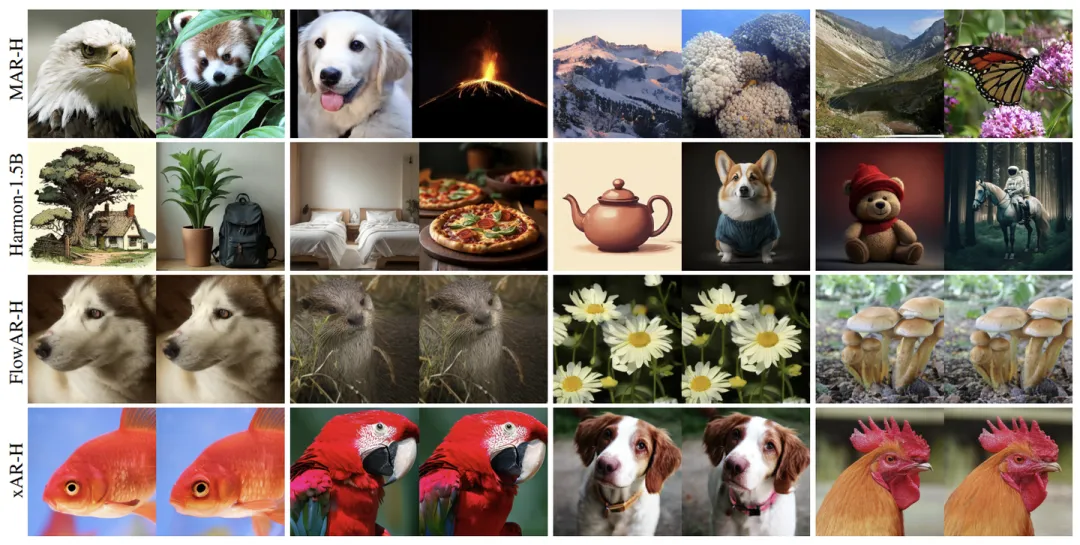 图9：图像生成结果采样