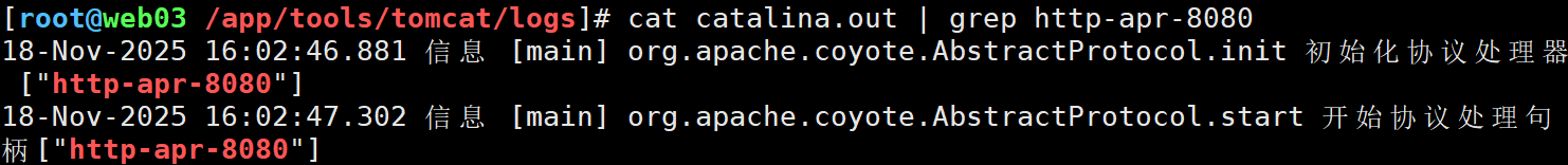 image-20251118160329481