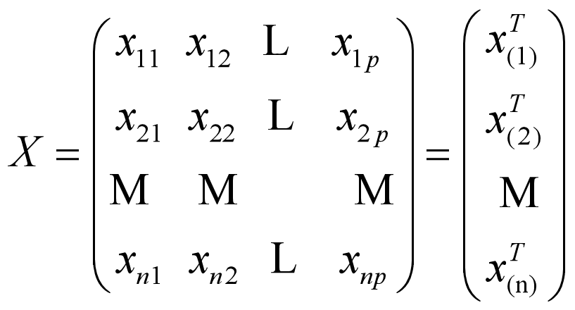 image-20251112205412898