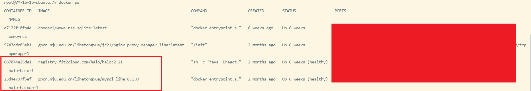 image-20250920210545767