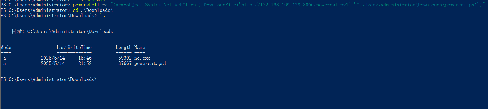 image-20250514215328807