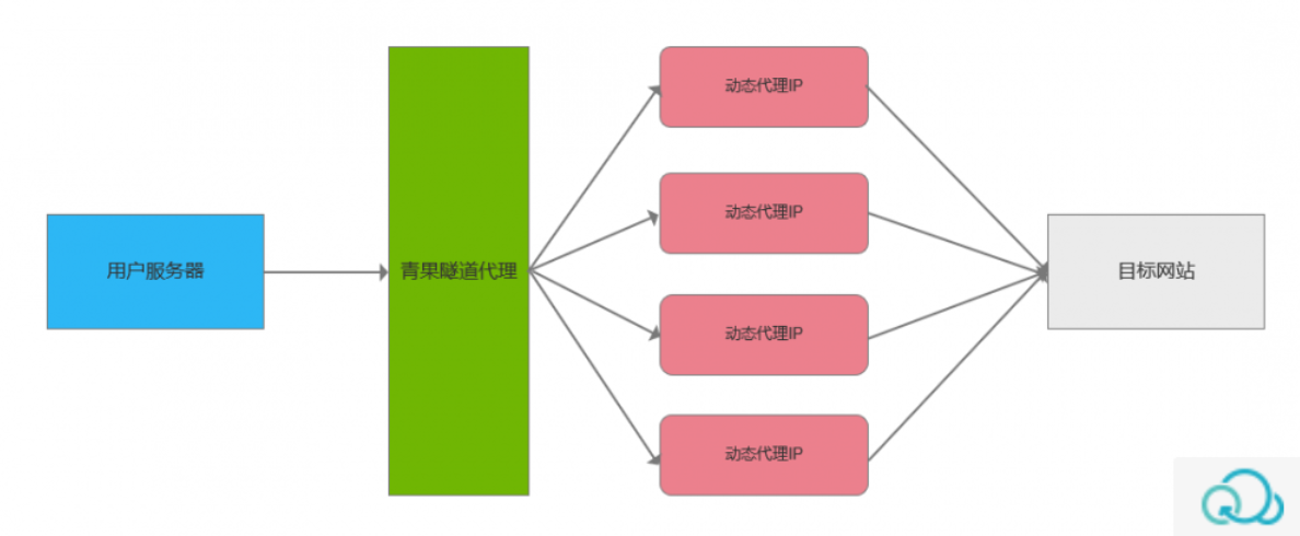 image-20250826170641047