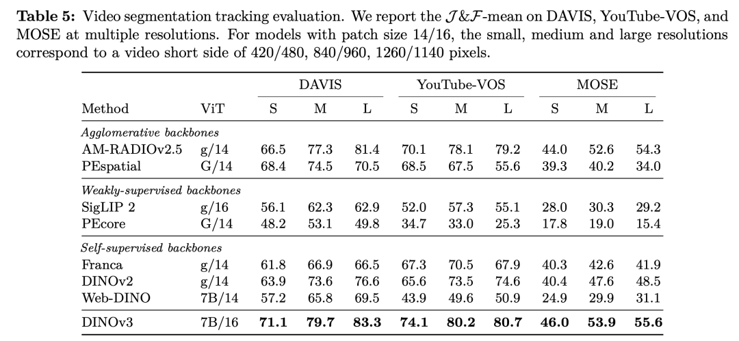 视频目标分割与跟踪评估结果