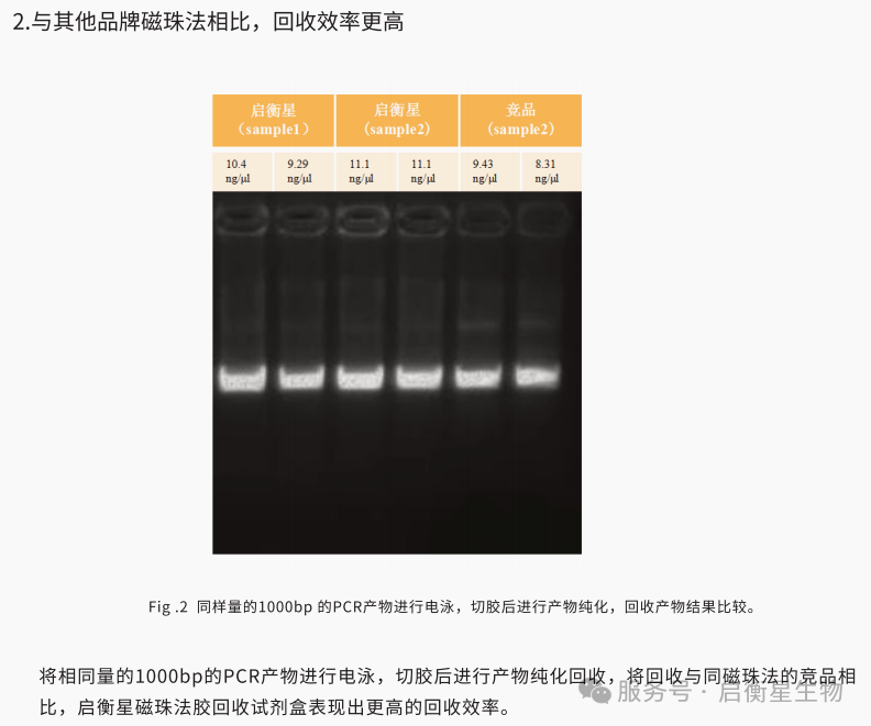 胶回收/PCR纯化实验避坑指南_胶回收洗脱液eb对连接转化有影响吗-CSDN博客