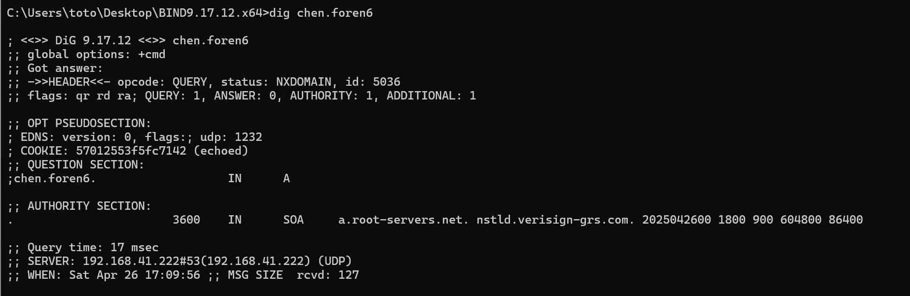 image-20250426171035474