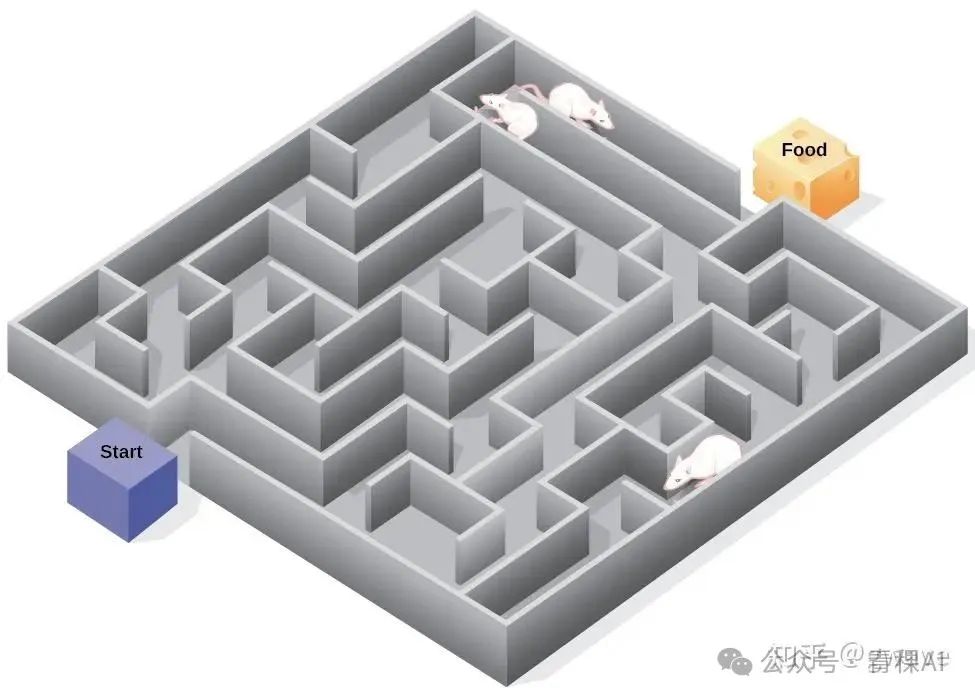 托尔曼迷宫老鼠 https://pressbooks.online.ucf.edu/lumenpsychology/chapter/reading-cognition-and-latent-learning/