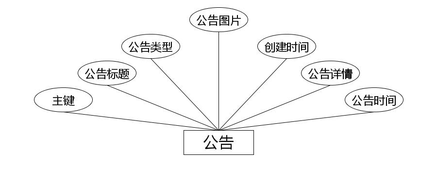 公告实体属性图