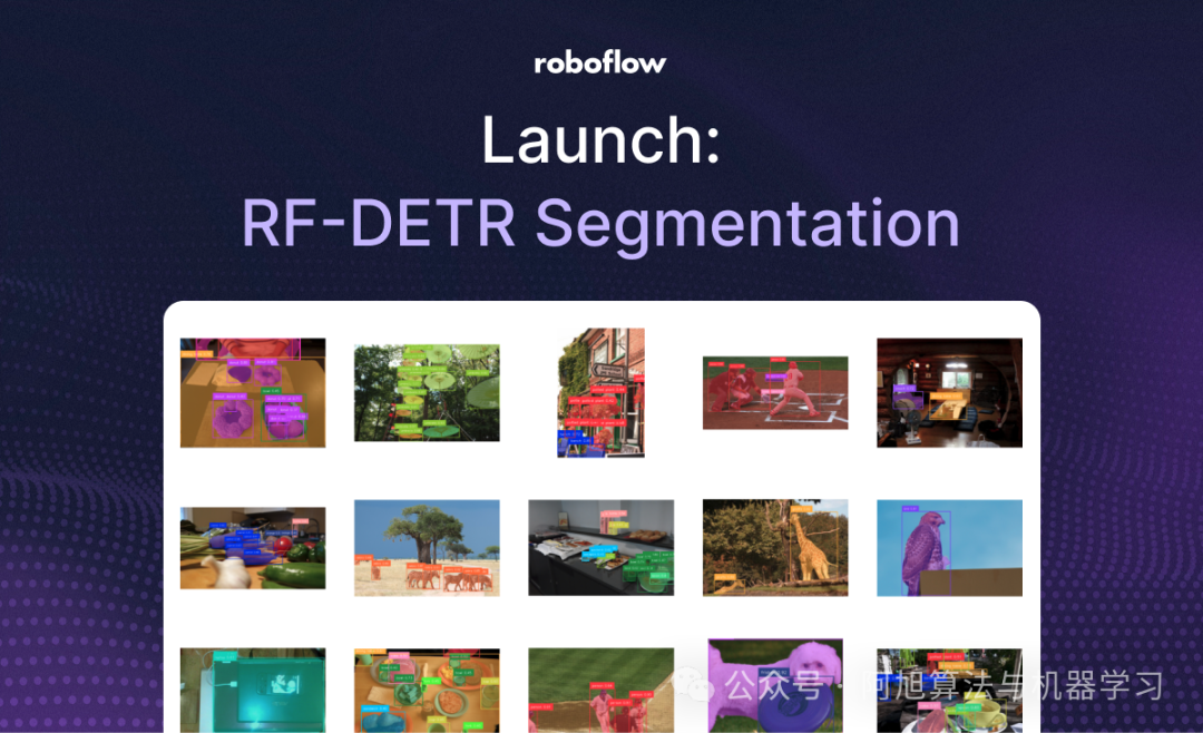 SOTA实例分割与RF-DETR Seg（预览版）