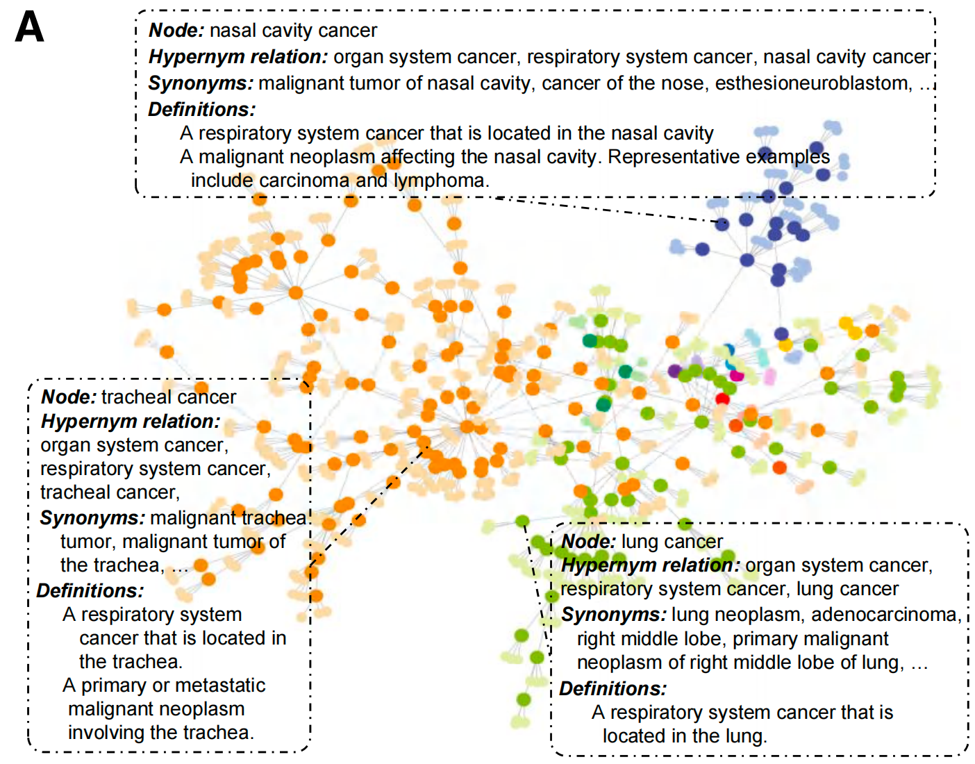 怎么买病理图文上海交大医工交叉团队在Nature与Cancer Cell连发两篇文章，均指向罕见病诊断难题_https://www.jmylbn.com_新闻资讯_第4张