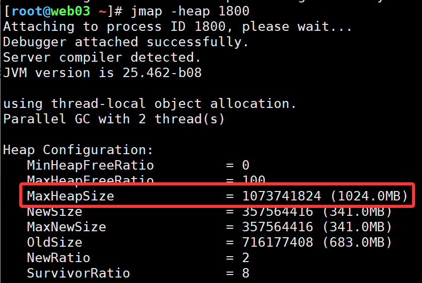 image-20251118095941279