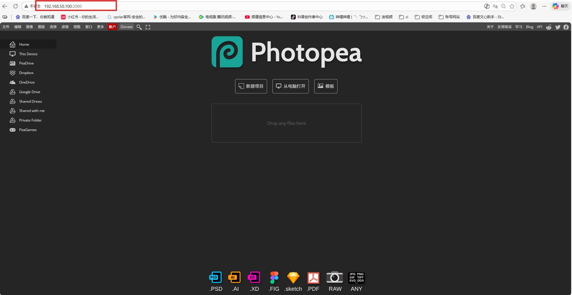 Accessing the Photopea homepage in a browser