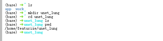 image-20250105001755747