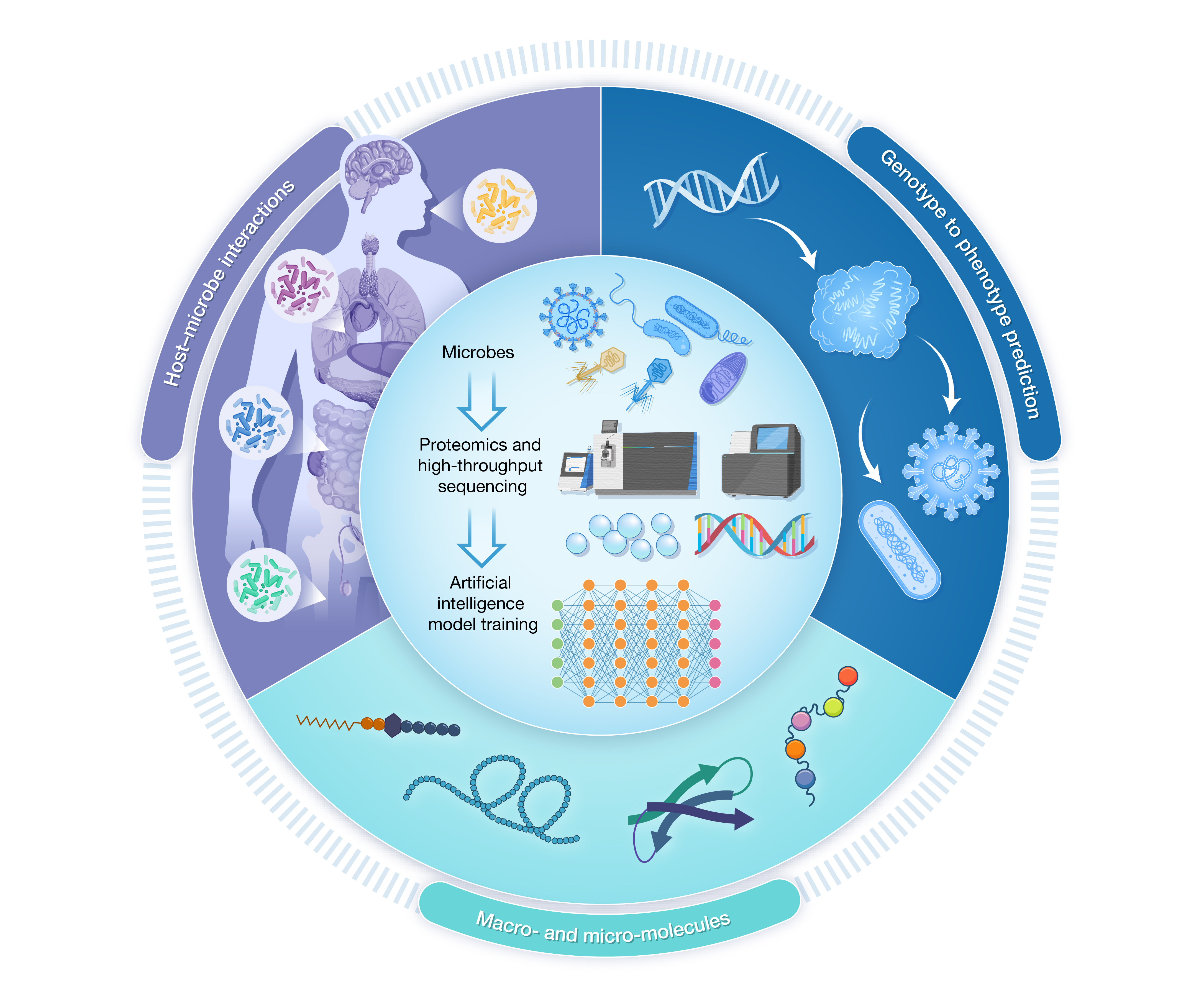 HLIFE-D-25-00081_王军_perspective-0604_Fig.1(2 column).jpg