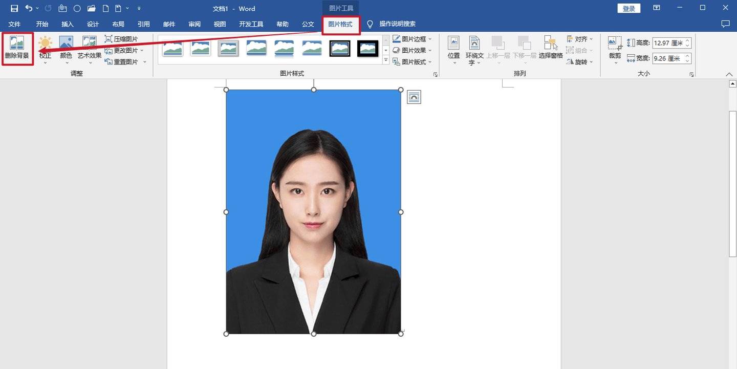 WordExcelPPT