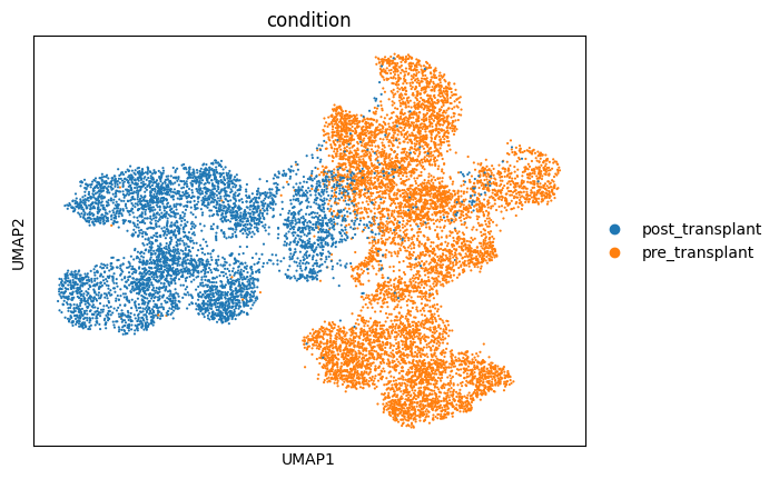 No description has been provided for this image