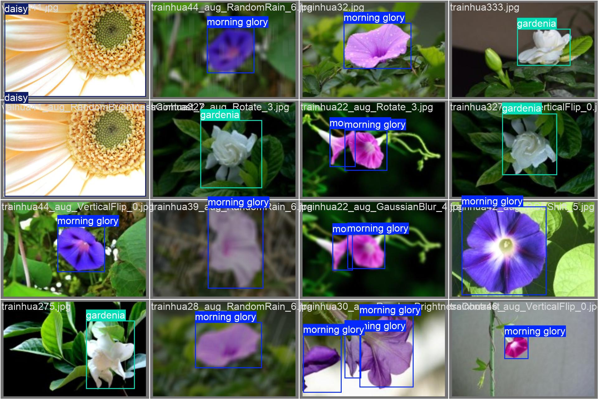 66_flower_det-val_batch1_labels.jpg
