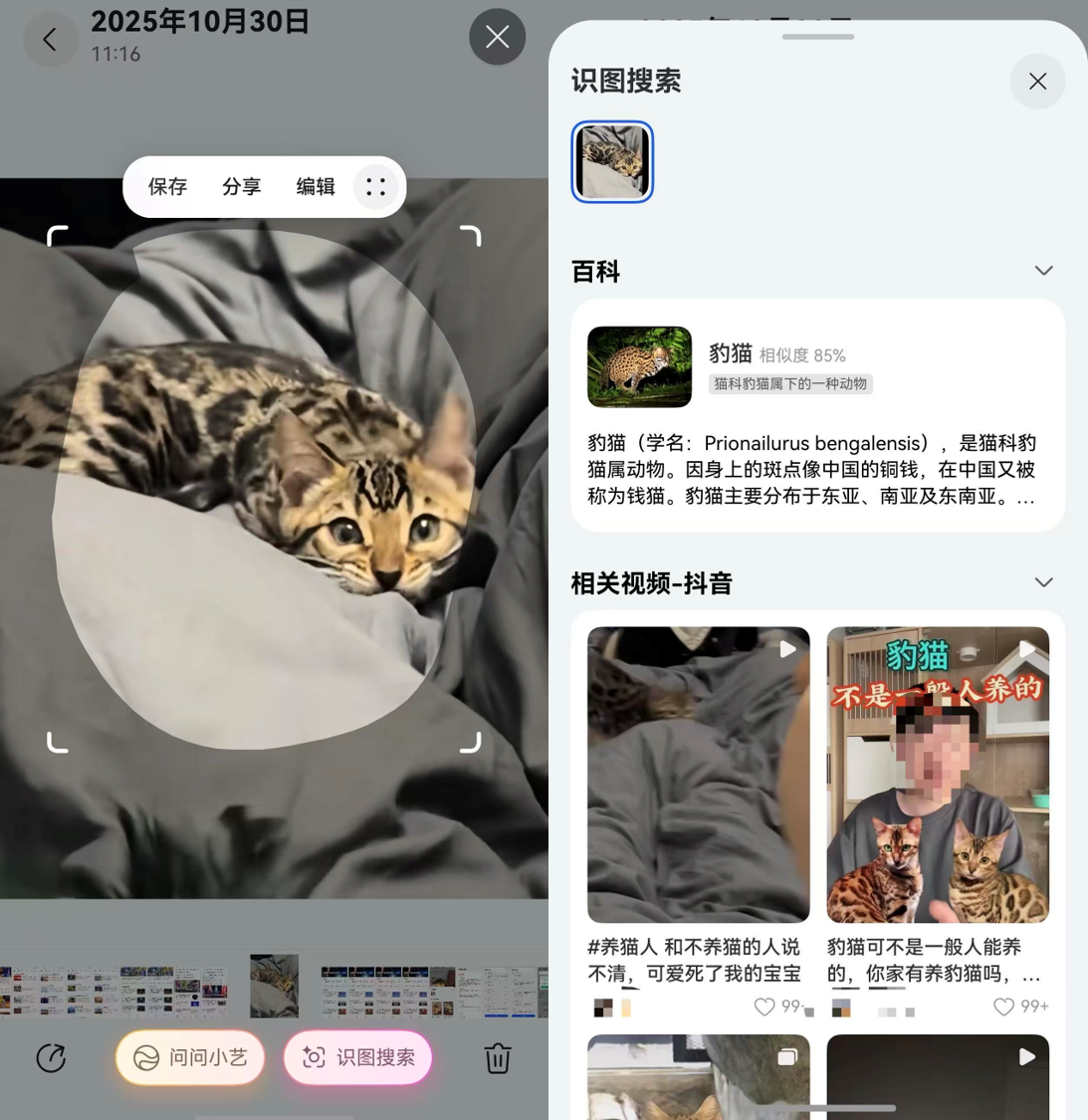 微信图片_20251127161839_368_19.png