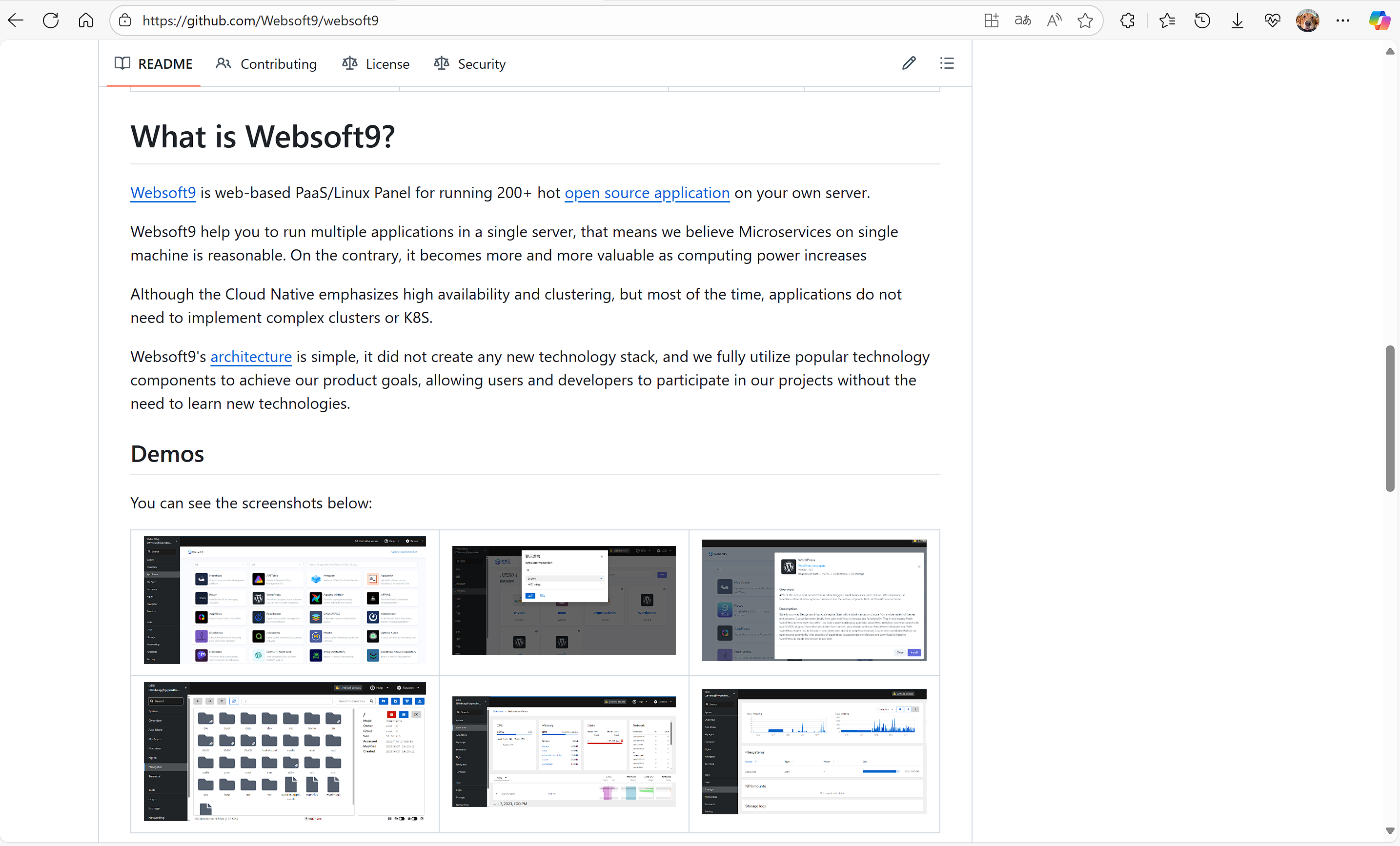 Websoft9-github.png