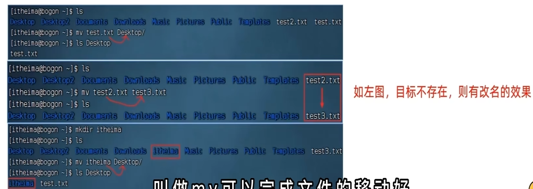 image-20260709101213605