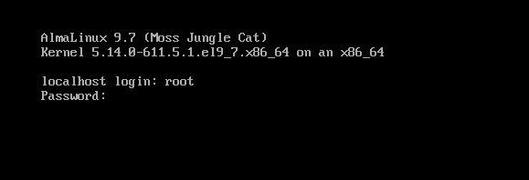 image-20251126083922582