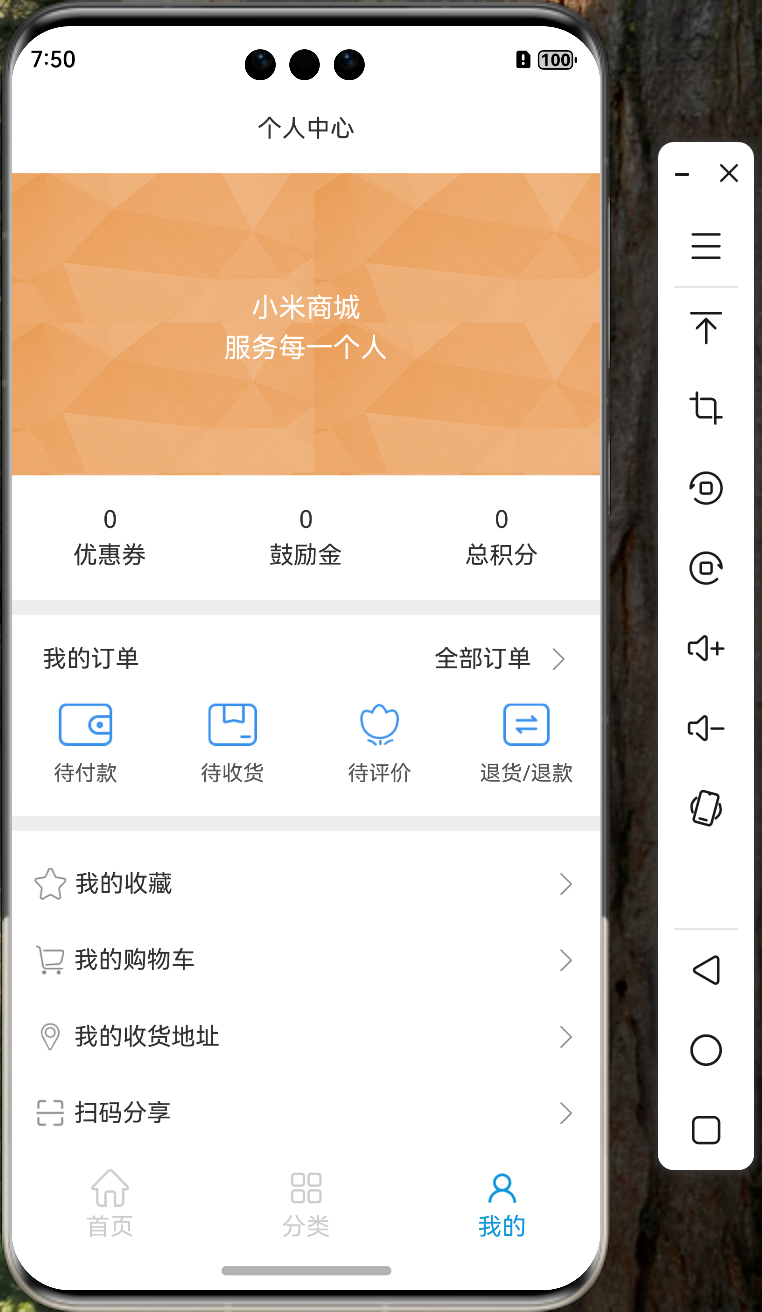 image-20250107195026476