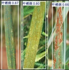 image-20260113003127122