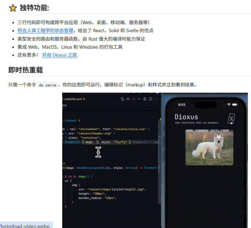 dioxus 项目介绍图