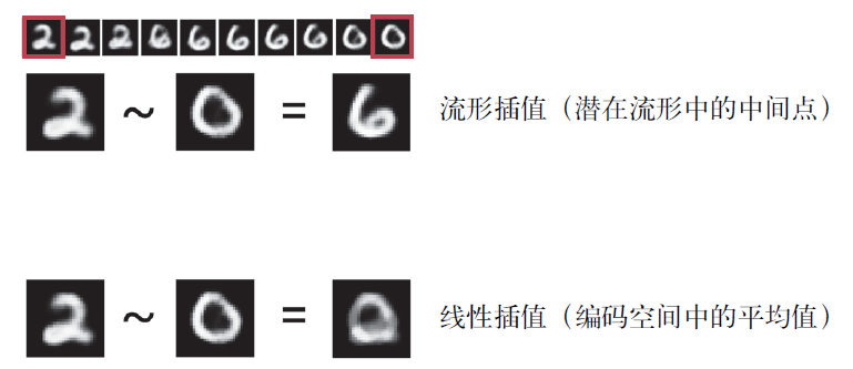 流形插值和线性插值的区别。数字潜在流形中的每一点都是有效数字，
但两个数字的平均值通常不是有效数字