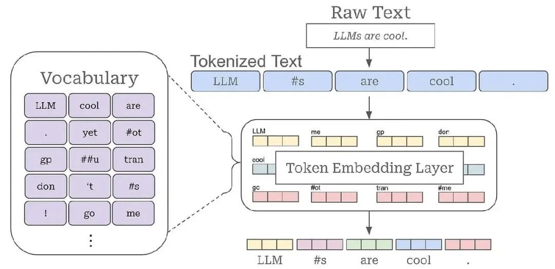 为 LLM 进行文本分词和矢量化