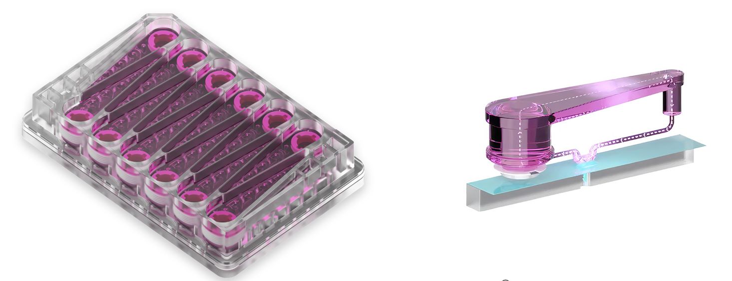 CN BIO MPS-LC12微孔板结构