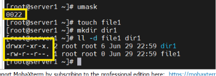 image-20260630144934589