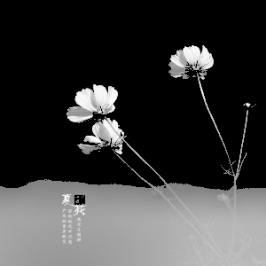 image-20250723191146995