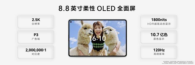 5.jpeg