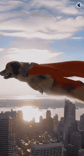 【最全Sora2官方提示词】Sora 2使用教程：新一代真实世界级AI视频生成_含Sora API使用示例与在线使用