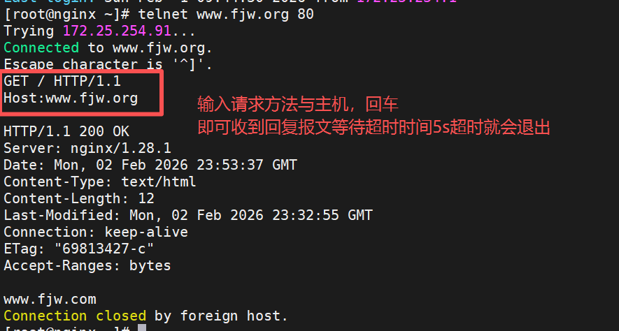 image-20260203075440130