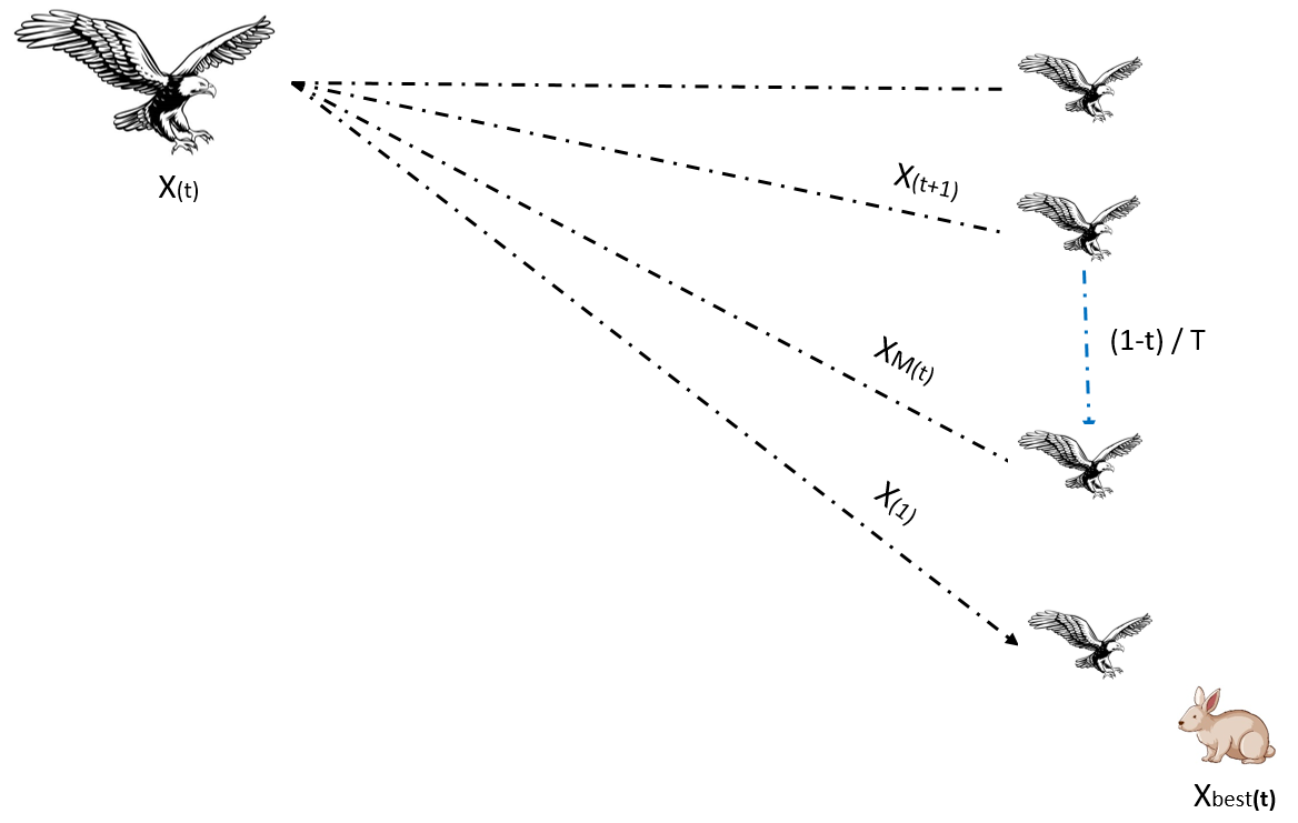 图6：天鹰的高空翱翔与垂直俯冲行为