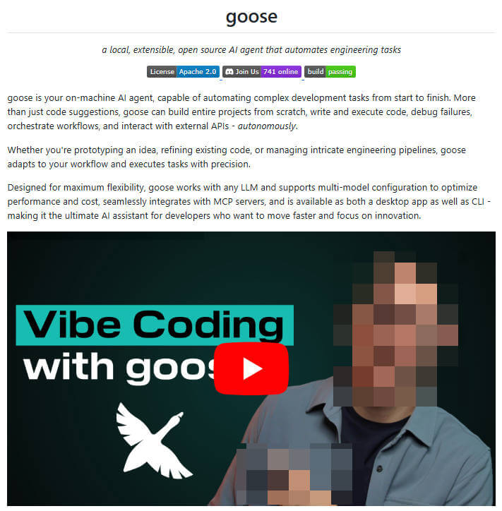goose 项目介绍图