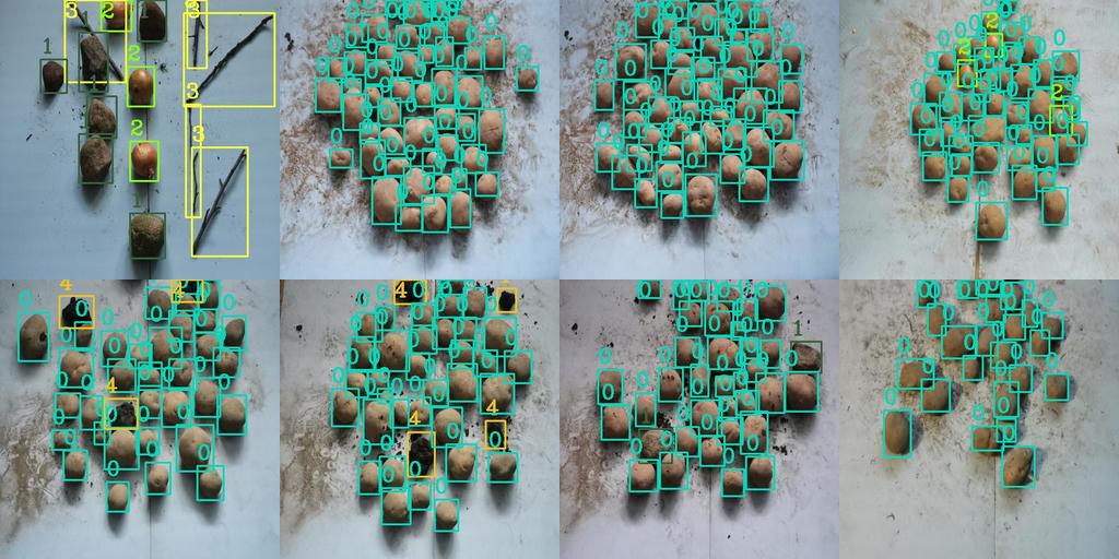 标注图2