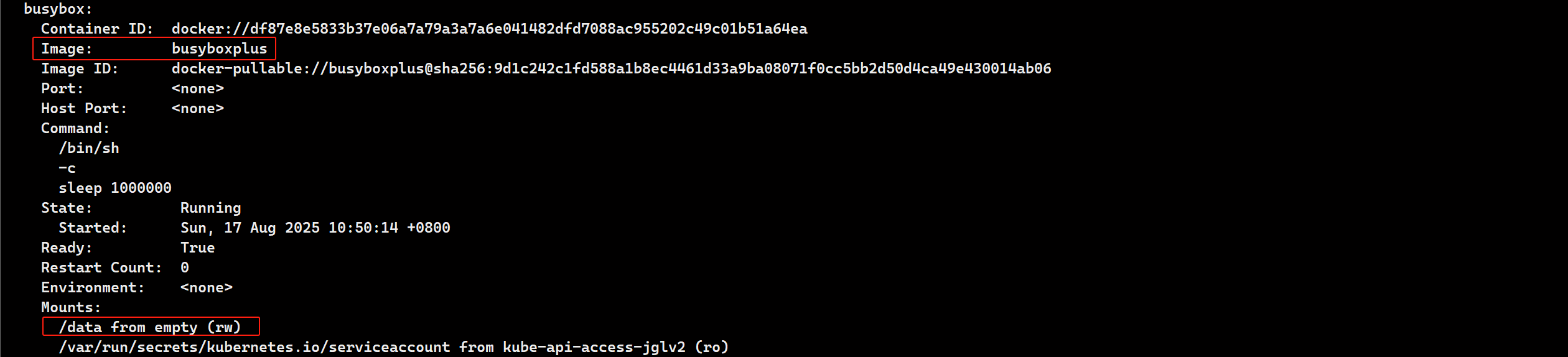 image-20250817110350621